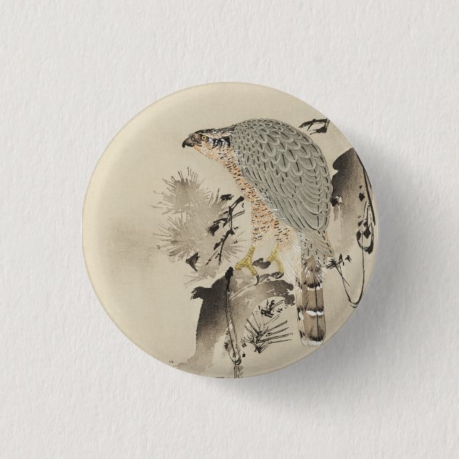 Asian Goshawk - 1890 Pinback Button (Front)