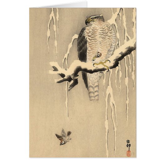 Asian Goshawk Cards (Front)