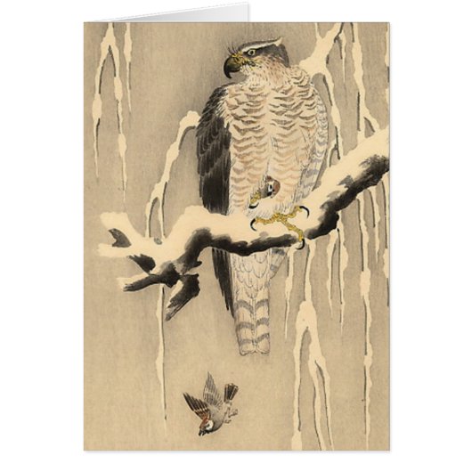 Asian Goshawk Painting Cards (Front)