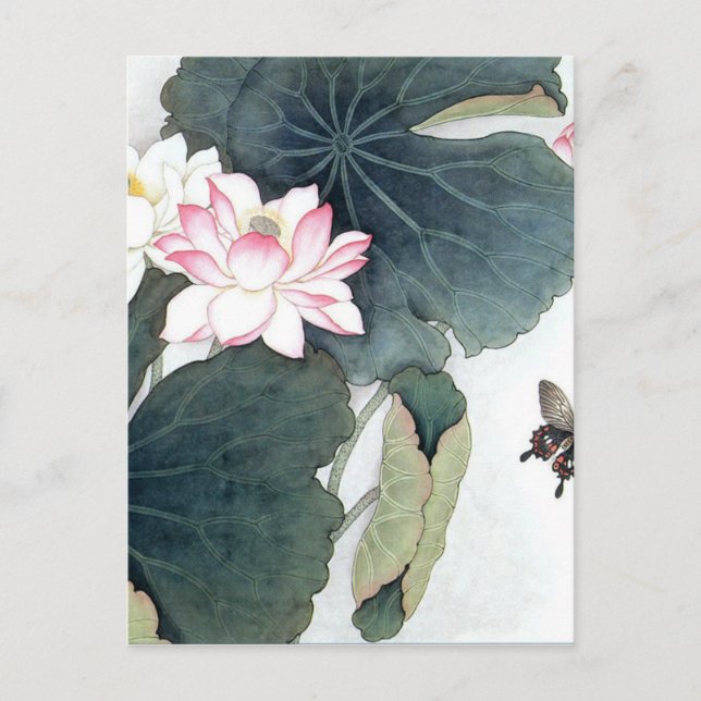 Asian Lotus Leaf Pink Flower Butterfly Art Cool Postcard (Front)
