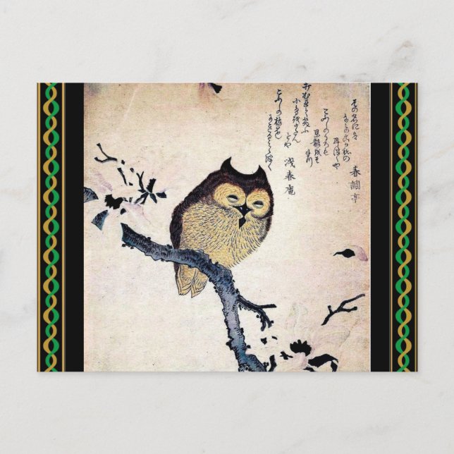 Asian Owl Postcard (Front)
