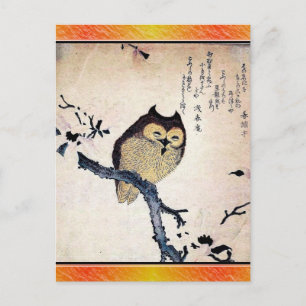 Asian Owl Postcard