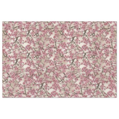 Asian Pink Cherry Blossoms