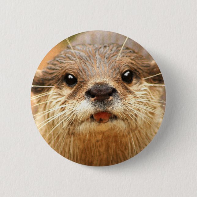 Asian Small Clawed Otter Button (Front)