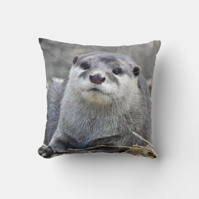 Asian Small-Clawed Otter Throw Pillow (Front)
