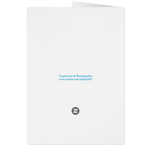 Asian Swallowtail Butterfly (Back)