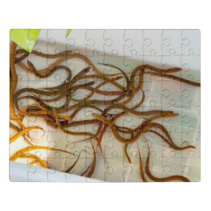 Asian swamp eel jigsaw puzzle