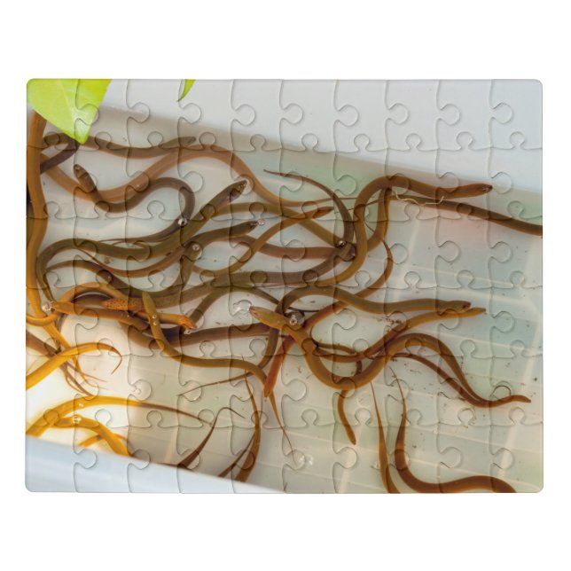 Asian swamp eel jigsaw puzzle (Puzzle Horizontal)