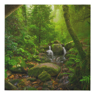 Asian tropical rainforestjungle,forest,environment faux canvas print
