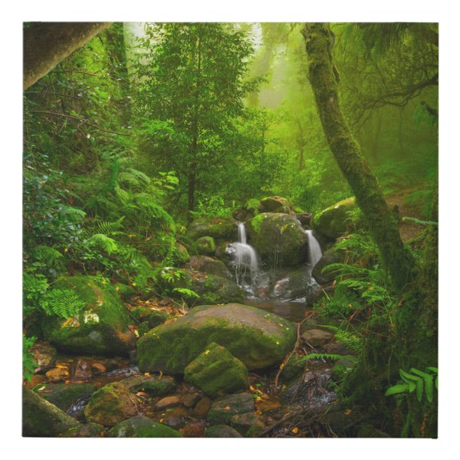 Asian tropical rainforestjungle,forest,environment faux canvas print (Front)