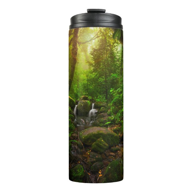 Asian tropical rainforestjungle,ground,amazon,asia thermal tumbler (Front)