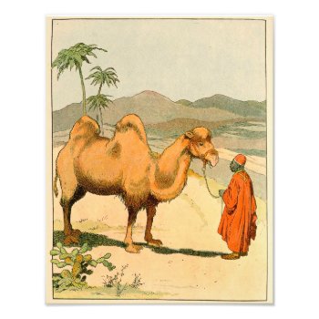 Asian Two Hump Camel Photo Print by kidslife at Zazzle