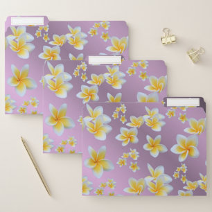 asian, yellow, white, bloom, bright, gold, floral file folder