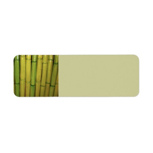 Asian Zen Green Bamboo Stalks Botanical Photo Label