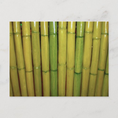 Asian Zen Green Bamboo Stalks Botanical Photo Postcard