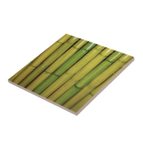 Asian  Zen Green Bamboo Stalks Botanical Photo Tile