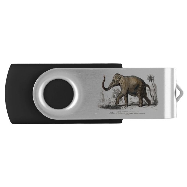 Asiatic Elephant Flash Drive (Front)