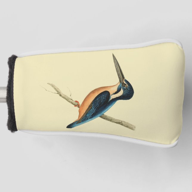 Asiatic Kingfisher Golf Head Cover (Front)