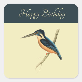 Asiatic Kingfisher Square Sticker