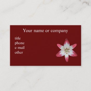 Asiatic Lily ~ Biz Card by Andy2302 at Zazzle