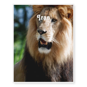 Asiatic Lion of Iran Temporary Tattoos