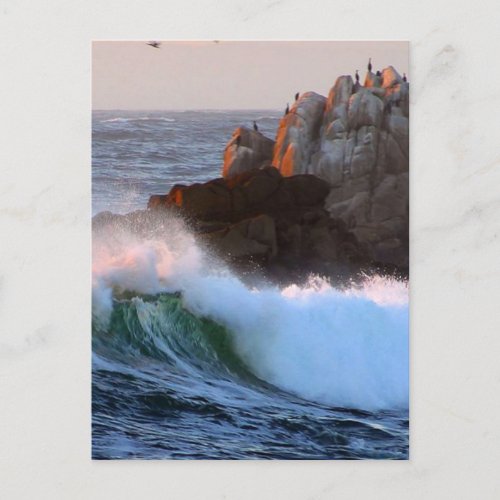 Asilomar Beach Waves Postcard