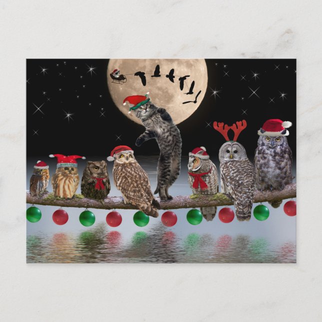 Asio dancing with Owls on Christmas Eve Holiday Postcard (Front)