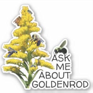 Ask Me About Goldenrod and Pollinators Sticker