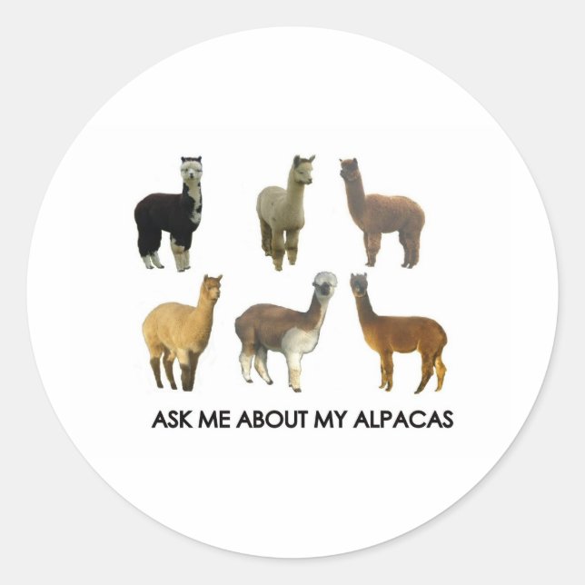 Ask me about my alpacas classic round sticker (Front)