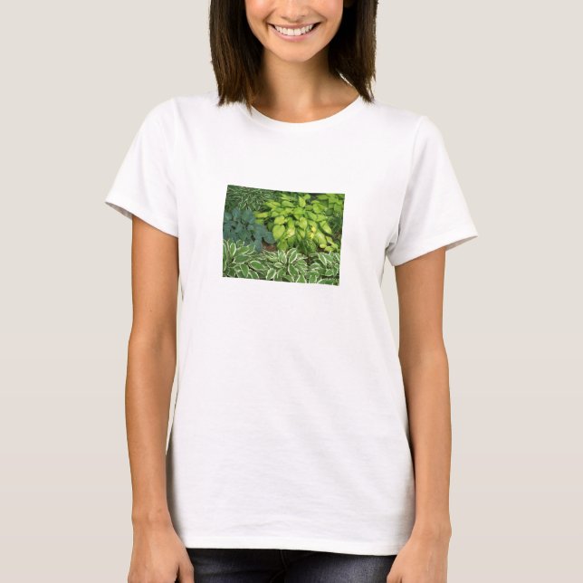 Ask Me About My Hosta Women's Tee (Front)