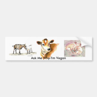 Ask Me Why I'm Vegan bumper sticker