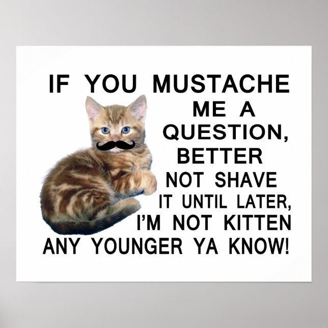 Ask The Kitten With A Mustache A Question Poster (Front)