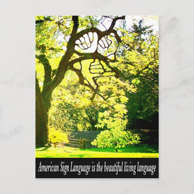 ASL-Handshaped Branches Postcard (Front)