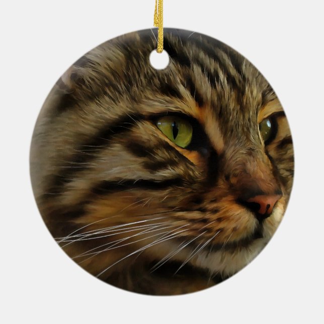 Aslan The Long Haired Tabby Cat Ceramic Ornament (Back)