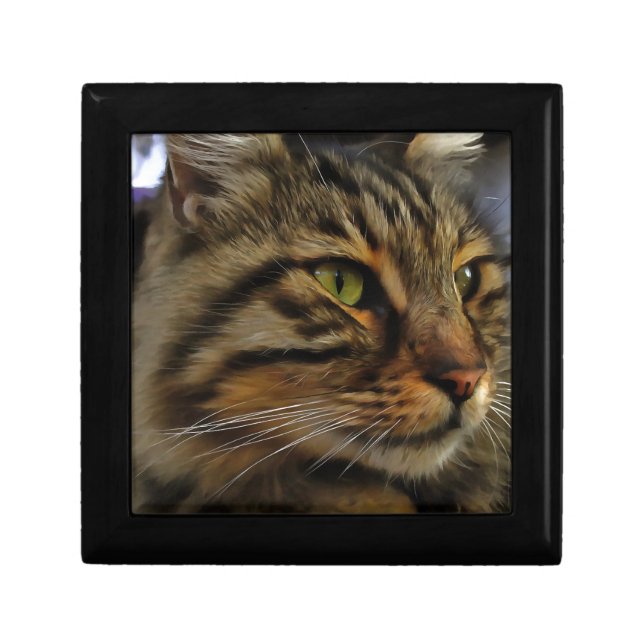 Aslan The Long Haired Tabby Cat Keepsake Box (Front)