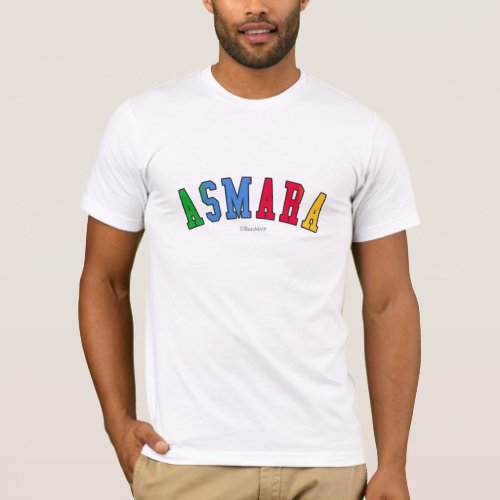 Asmara in Eritrea national flag colors T_Shirt