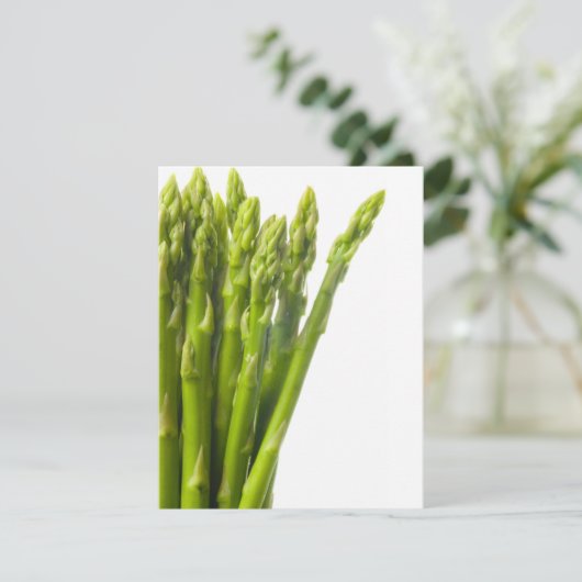 Asparagus (Standing Front)