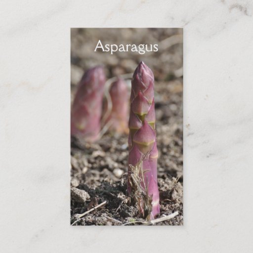 Customizable Asparagus business card