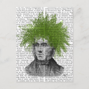 Asparagus Fern Head Plant Head Postcard