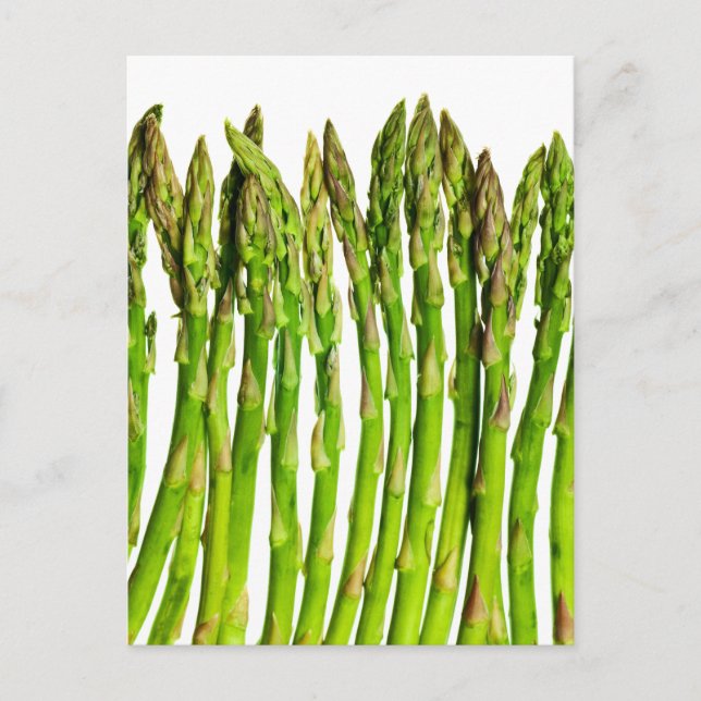 Asparagus on White Customizable - Vegetables Postcard (Front)