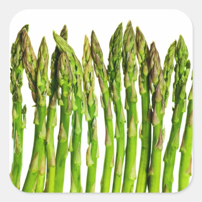 Asparagus on White - Customized Veggie Background Square Sticker (Front)