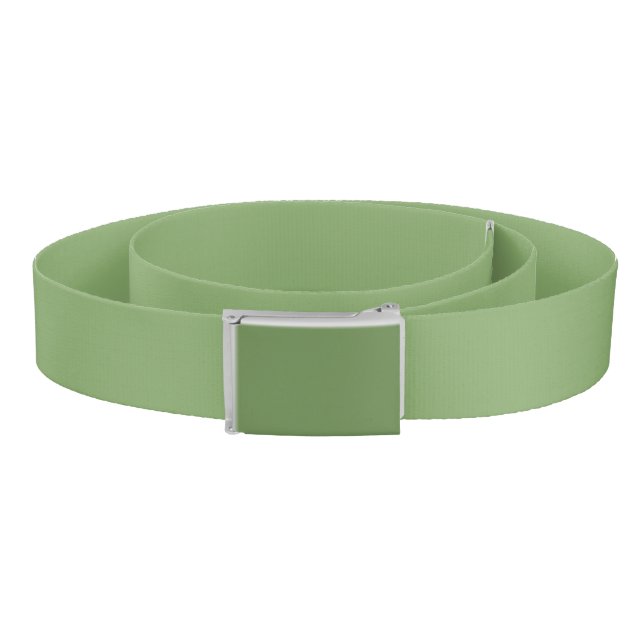 Asparagus (solid color) belt (Coil)