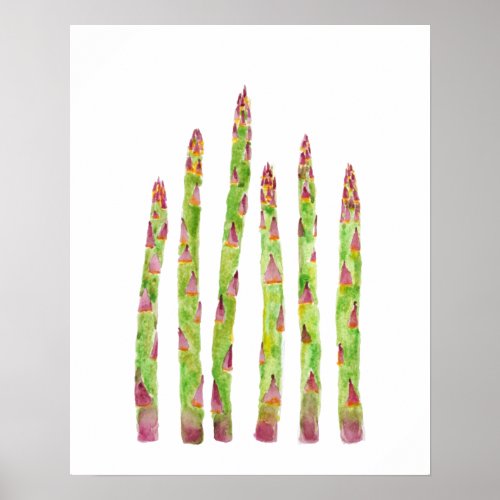 asparagus watercolor painting poster