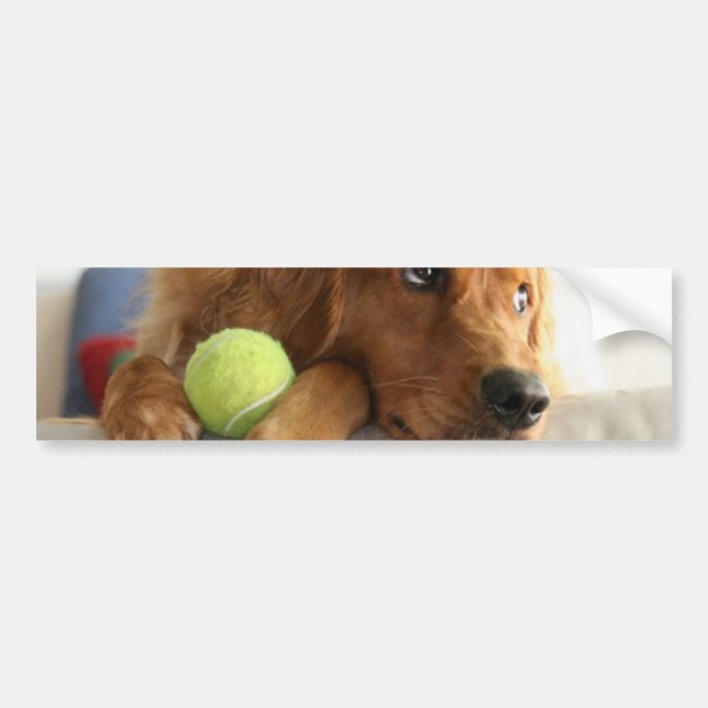 ASPCA-Dog Bumper Sticker (Front)