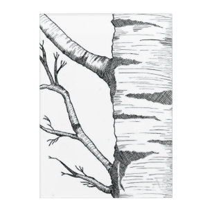 Aspen acrylic print