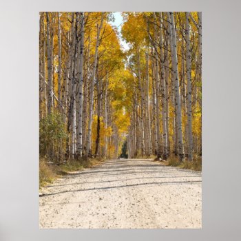 Aspen Alley In Autumn Print by ChristyWyoming at Zazzle