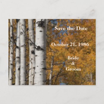 Aspen Alley In Fall Orange Wedding Postcards by ChristyWyoming at Zazzle