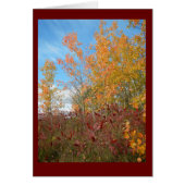 Aspen and Sumac Against Wisconsin Sky Blank Card (Front)
