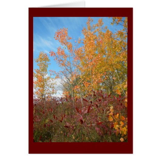Aspen and Sumac Against Wisconsin Sky Blank Card (Front)