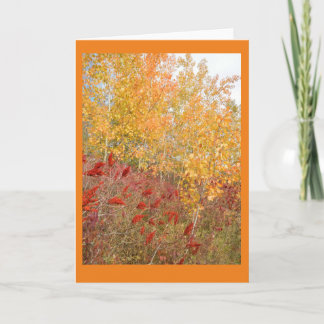 Aspen and Sumac Blank Note Card